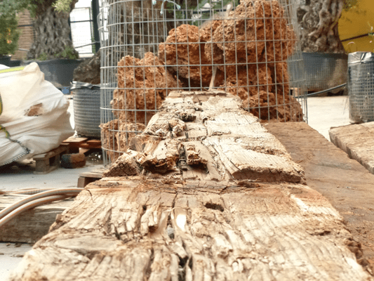 Protección madera y cestas